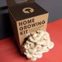 Cadeaux - Kit de auto-culture de délicieux champignons - RESETEA