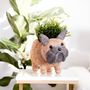 Flower pots - Coco Coir Dog Planters by Likha - NEST