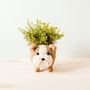 Pots de fleurs - Jardinière pour chien en fibre de coco par Likha - NEST