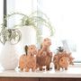 Flower pots - Coco Coir Dinosaur Planters by Likha - NEST