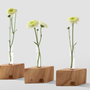 Vases - SINGLE VASE CANOA - ALESSANDRA DELGADO DESIGN