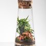 Objets de décoration - FlorMaison - Terrarium - FLOR MAISON