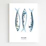 Poster - Poster 30 x 40 cm - Mackerels - BLEU COQUILLE