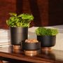 Vases - Handmade Textured Raw Metal & Wood Planter - FLECK