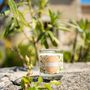 Gifts - Orange Blossom scented candle - CONFIDENCES PROVENCE