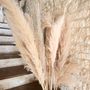 Floral decoration - Dried flowers - LA MAISON ARTYFETES