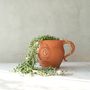 Vases - Maya- Handmade Terracotta Pot, plant pot, flower vase - ATRIUM DESIGN STUDIO