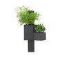 Other wall decoration - Wall Planter in Slate NICA The Travelling Tree - LE TRÈFLE BLEU