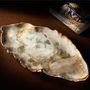 Decorative objects - PETRIFIED WOOD | Plates and bowls of petrified wood - XYLEIA PETRIFIED WOOD