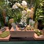 Décorations florales - Plantes & Arbres - VRANCKX