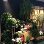 Floral decoration - Green plants & trees - VRANCKX