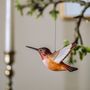 Decorative objects - DecoBird Rufous Hummingbird - WILDLIFE GARDEN