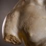 Sculptures, statuettes and miniatures - Giant Apollo Torso - ATELIERS C&S DAVOY