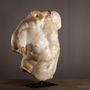 Sculptures, statuettes and miniatures - Giant Apollo Torso - ATELIERS C&S DAVOY