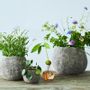 Floral decoration - Flower pots - AVEVA DESIGN