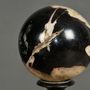 Decorative objects - Set Of 5 Petrified Wood Balls - ATELIERS C&S DAVOY