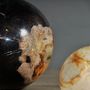 Decorative objects - Set Of 5 Petrified Wood Balls - ATELIERS C&S DAVOY
