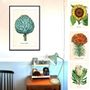 Poster - Botanical Collection Series - BLUE SHAKER