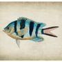 Poster - FISH print - BLUE SHAKER