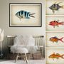 Poster - FISH print - BLUE SHAKER