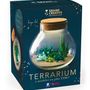Cadeaux - Kit terrarium à modeler - GRAINE CRÉATIVE