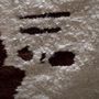 Contemporary carpets - Silent rust_Stil - M AAH BV