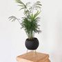 Floral decoration - Globe Table Planter - KITBOX DESIGN