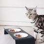 Meubles de cuisines  - DINE - station d'alimentation pour chats - LUCYBALU