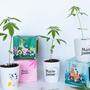 Cadeaux - Kits de plantation de chanvre - MARIE JANINE CBD