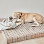 Pet accessories - KAYA DOG BLANKET - LARGE - OYOY LIVING DESIGN