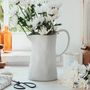 Coffee and tea - Nature Shape Smooth White Pitcher - EGG BACK HOME