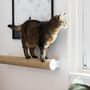 Wall ensembles - CATWALK - wall mounted scratching pole for cats - LUCYBALU