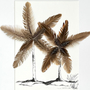 Cadres - Feather Frame: Black Palms - LES MATURINS