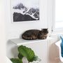 Wall ensembles - STRAIGHT - cat wall board - LUCYBALU
