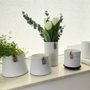 Design objects - OOhh Collection by Lubech Living - OOHH BY LÜBECH LIVING