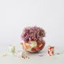 Vases - Vase Nougat Spring Olla - STORIES OF ITALY