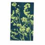 Gifts - Sunography - Cyanotype Photography - NOTED