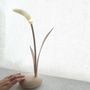 Desk lamps - foxtail lamp - TAIWAN CRAFTS & DESIGN