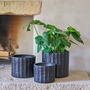 Pottery - TRONK indoor ceramic pot  - D&M DECO