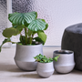 Pottery - FUSION ceramic indoor pot  - D&M DECO