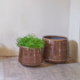 Pottery - MOSS ceramic indoor pot  - D&M DECO