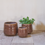 Pottery - MOSS ceramic indoor pot  - D&M DECO