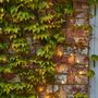 Outdoor decorative accessories - Ivy / Solar Ivy - LIGHT STYLE LONDON