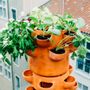 Window boxes - Compost gardener (2)  - CEERCLE