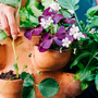 Window boxes - Extra compost level  - CEERCLE