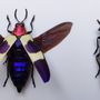 Decorative objects - Entomological frames, butterflies, insects, cabinet of curiosities - METAMORPHOSES