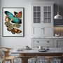 Poster - Poster Butterflies. - THE DYBDAHL CO.