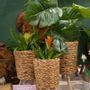 Decorative objects - Wood baskets and pots - KRENZ GMBH   HOME & GARDEN