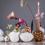 Objets de décoration - FRUCTUS STERCULIA bol/vase en porcelaine objet botanique floral, fait main - KLATT OBJECTS