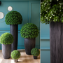 Floral decoration - Boxwood - LOU DE CASTELLANE - artificial plants and flowers - LOU DE CASTELLANE
